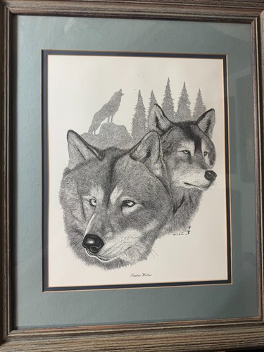 Alan carman timber wolves - "timber, wolves"