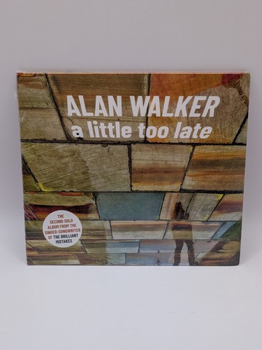 Alan walker little too - too, late